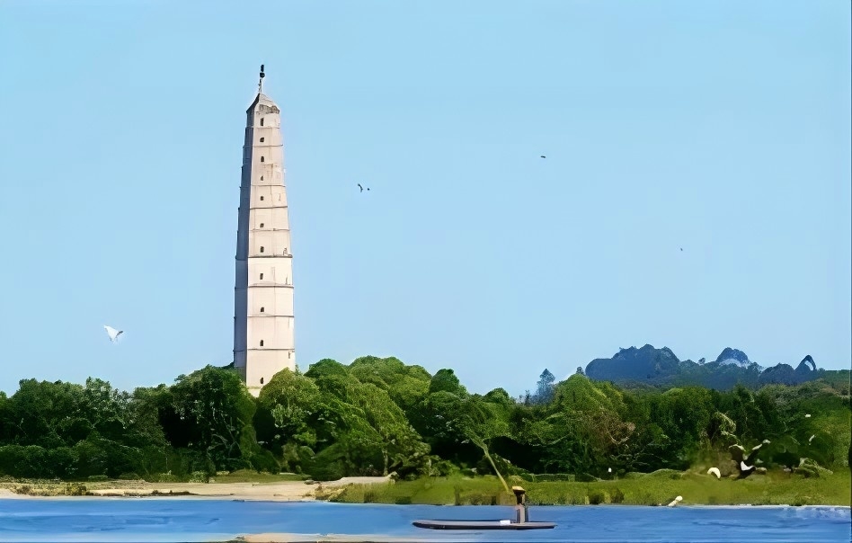 网站上线试运行公告