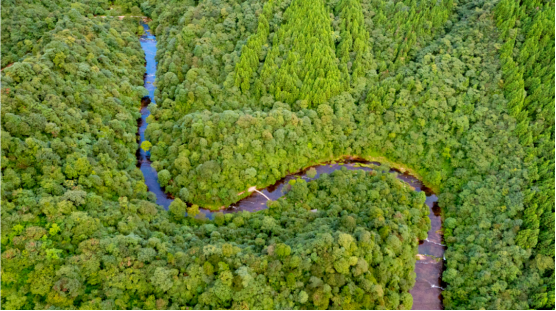 迎世运 耍邛崃:把这个夏天过成清凉薄荷味儿