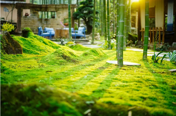 1639970374769752.png 8.png