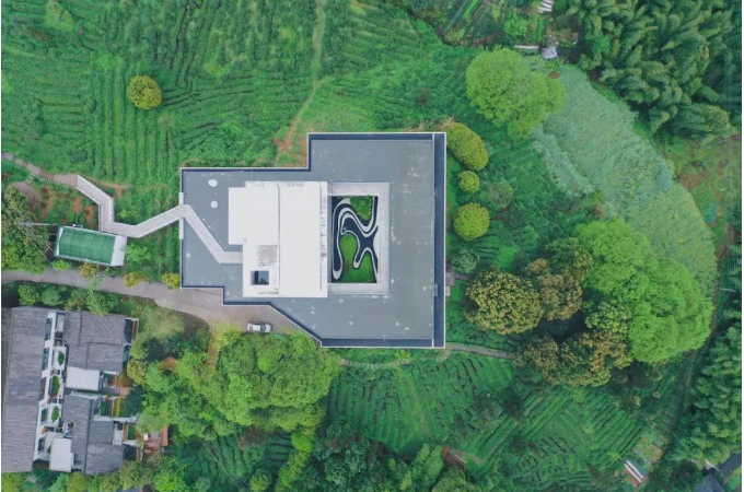 1639970428541296.png 10.png