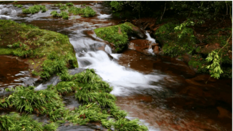 高铁直达!邛崃消夏避暑线路发布~