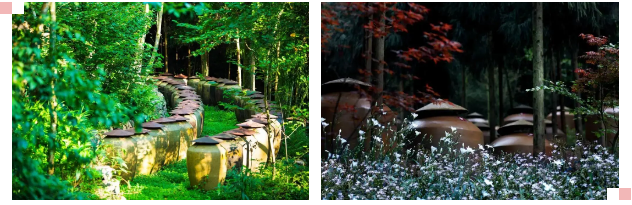 1639972052838173.png 3.png