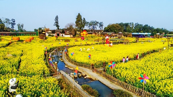 1646364155455792.jpg 3.jpg