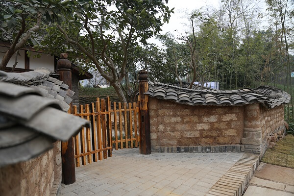 1646365746588115.jpg IMG_4707.JPG