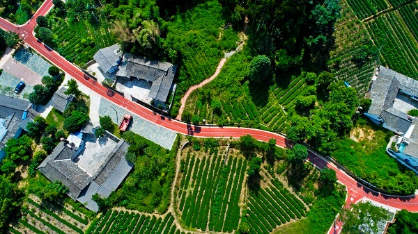 1646374834687561.jpg DJI_0049-1.JPG