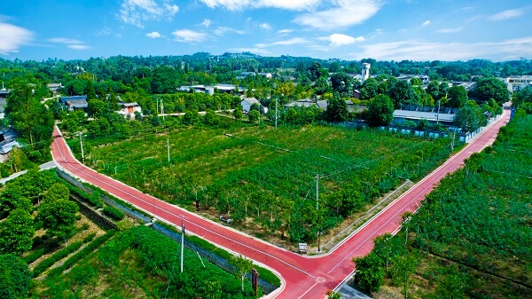 1646374838929873.jpg DJI_0001-1.JPG