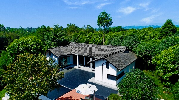 1646374849804436.jpg DJI_0065-1.JPG