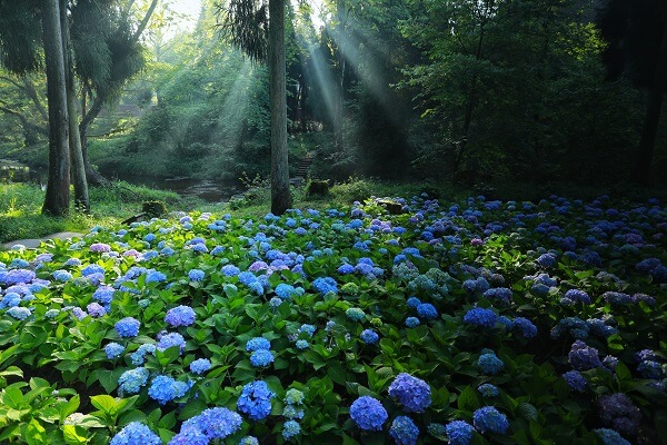 1646376361794022.jpg 微信图片_20200709134950.jpg