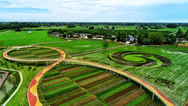 1646381493411900.jpg 种植园.jpg