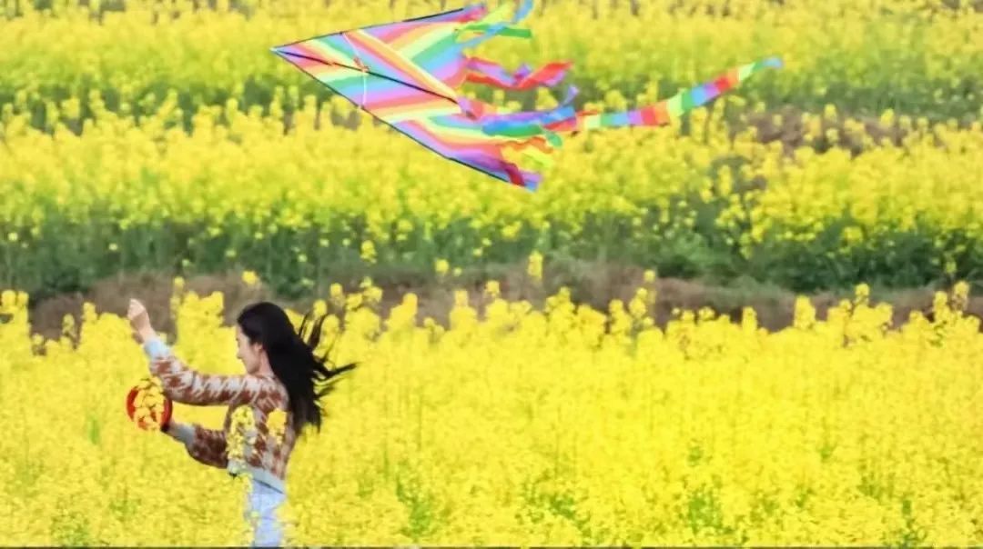 1647481773152805.jpg 微信图片_20220317094637.jpg