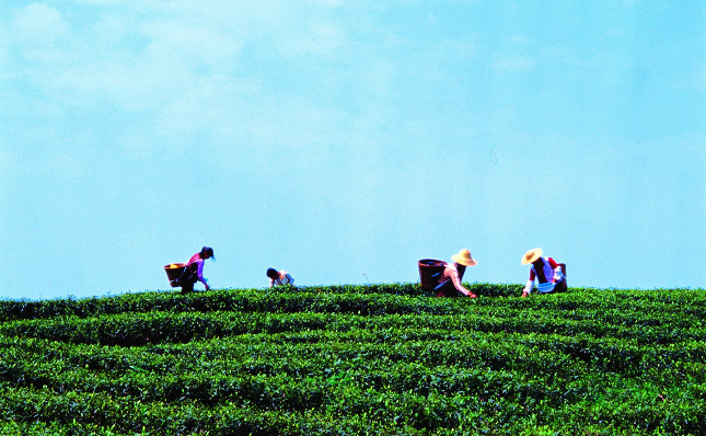 1647482167181809.png 微信图片_20220317094702.png