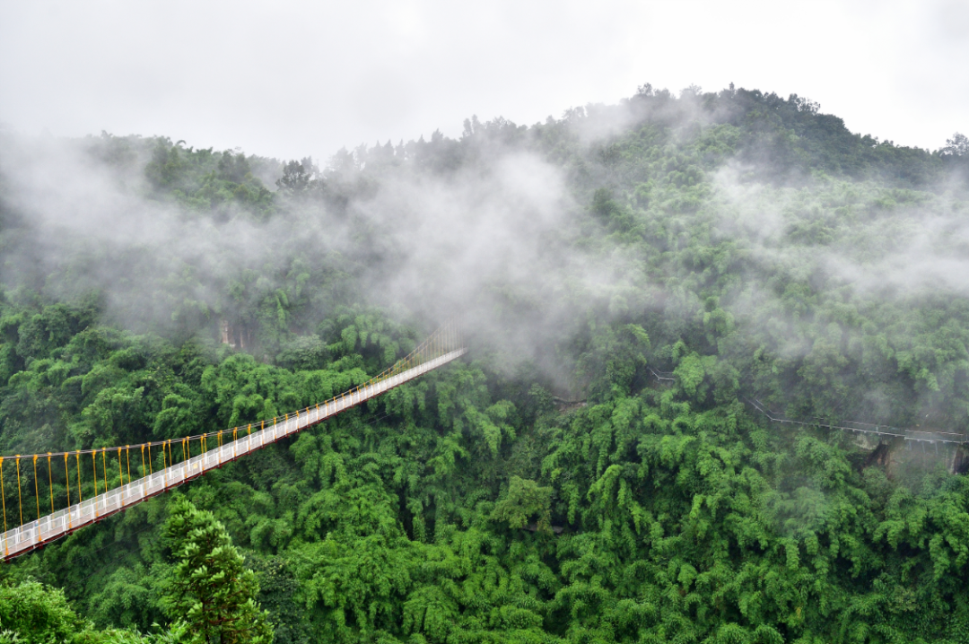 微信图片_20220622095416.png 微信图片_20220622095416.png