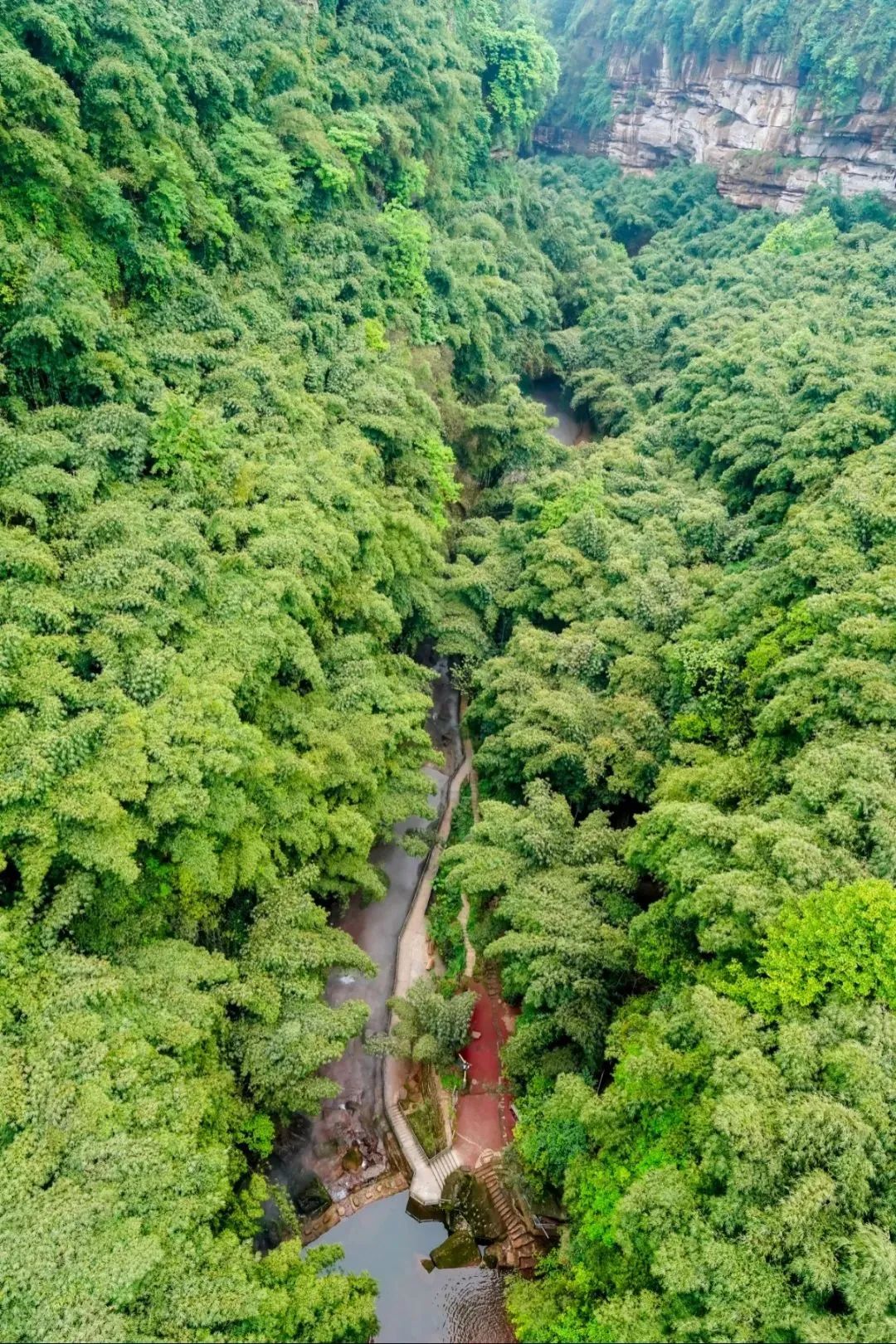 微信图片_20220622095444.jpg 微信图片_20220622095444.jpg