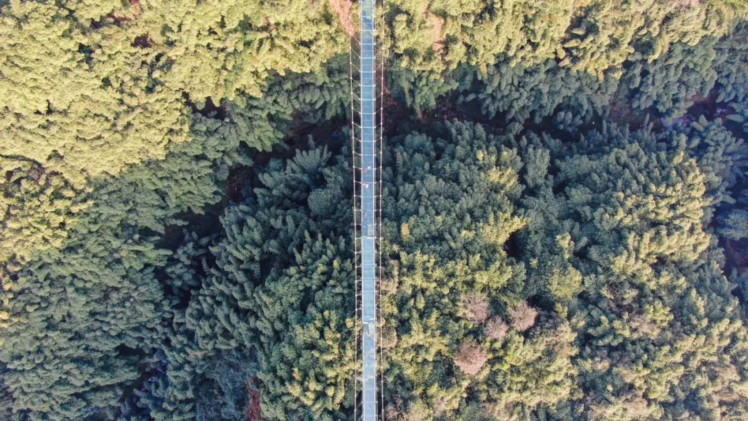 微信图片_20220622095456.jpg 微信图片_20220622095456.jpg