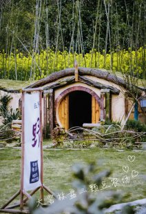 邛崃“趣”研学，去大窖林盘种下“三颗豆”