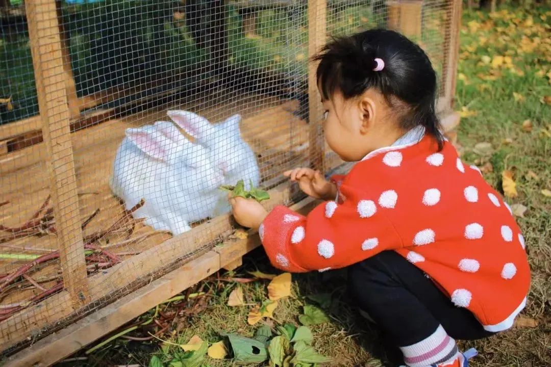 1683352671103654.jpg 微信图片_20230506135728.jpg