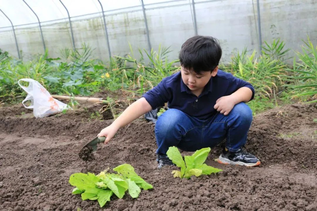 1683352693102768.jpg 微信图片_20230506135756.jpg