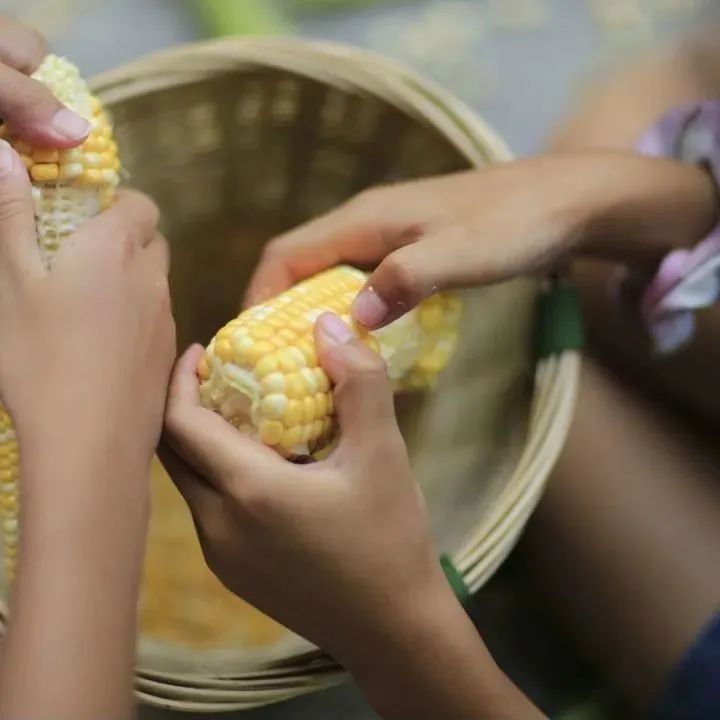 1683352731106972.jpg 微信图片_20230506135829.jpg