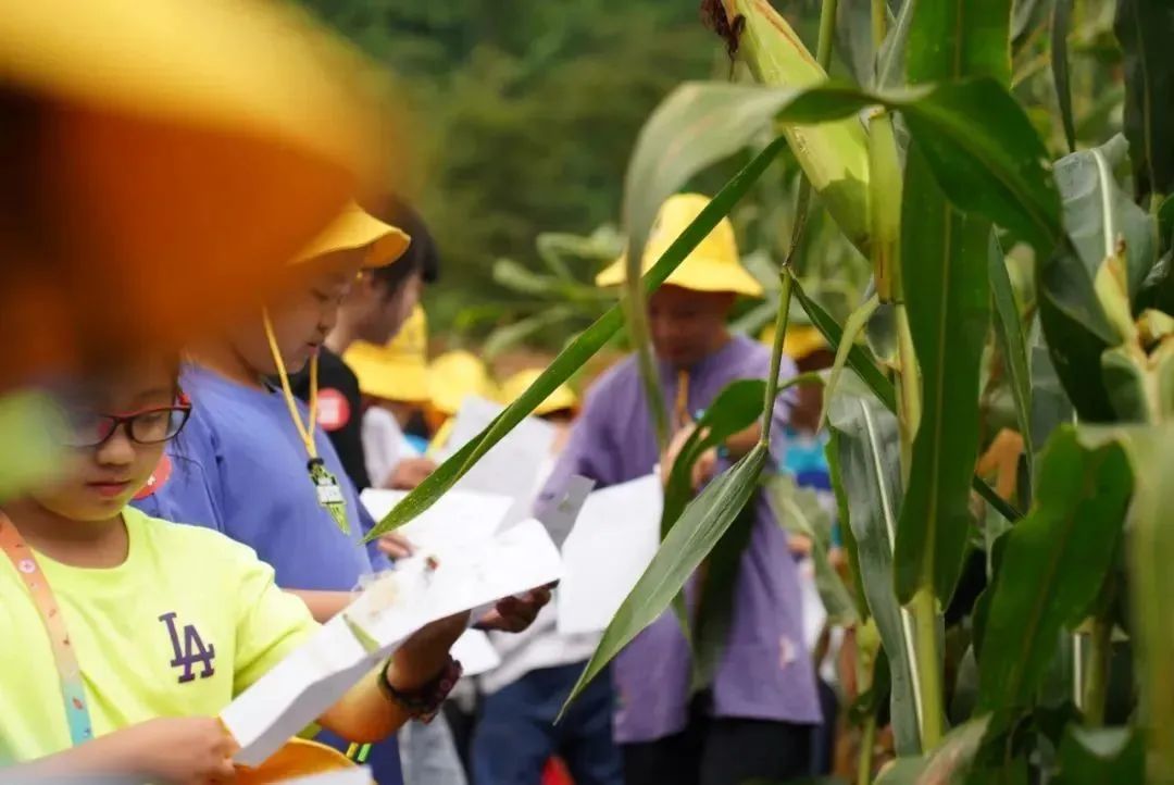 1683352757634718.jpg 微信图片_20230506135816.jpg