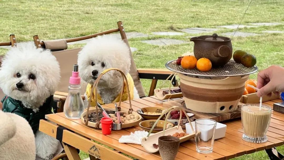 1683352834115480.jpg 微信图片_20230506140019.jpg