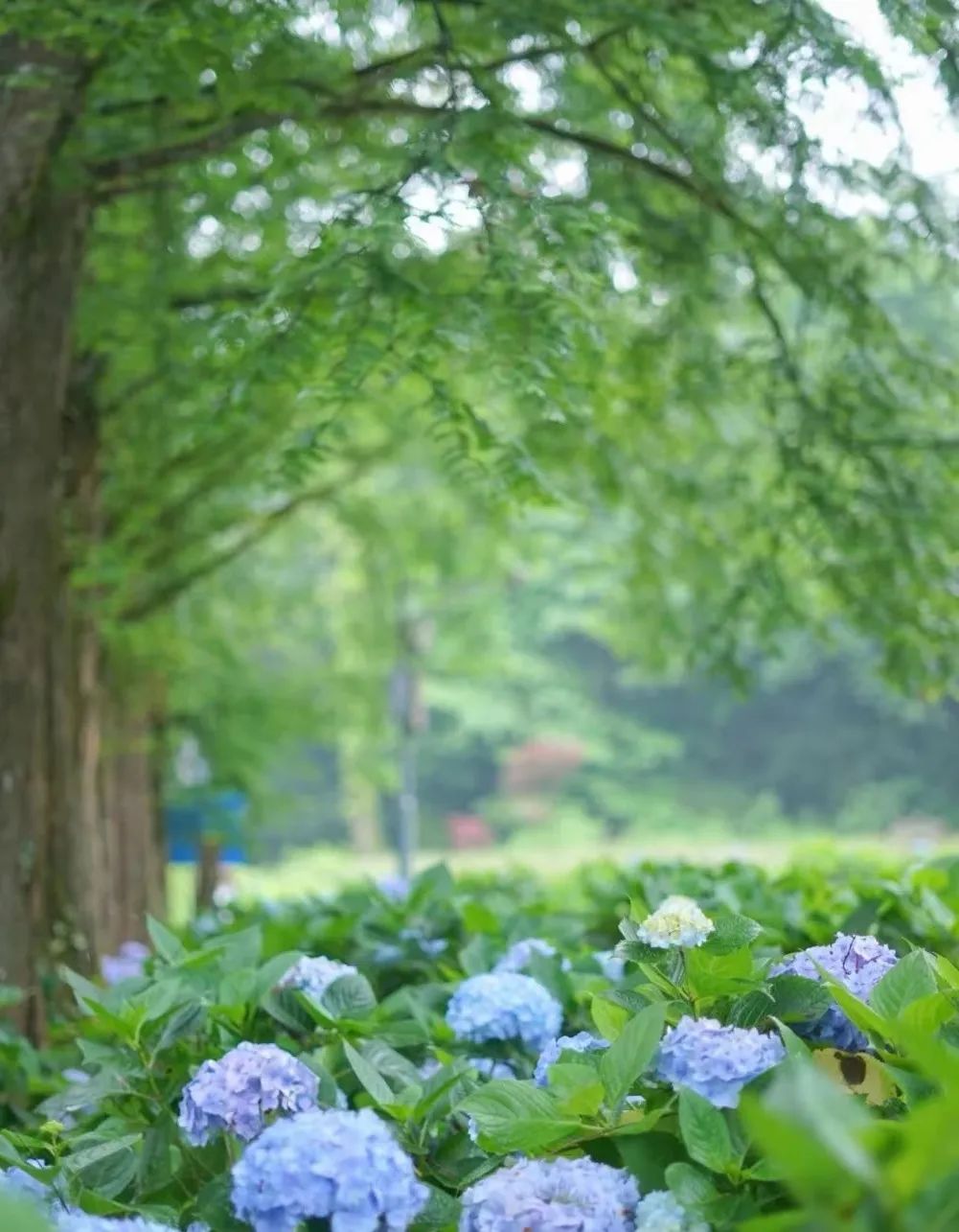 1684461311859301.jpg 微信图片_20230519095459.jpg