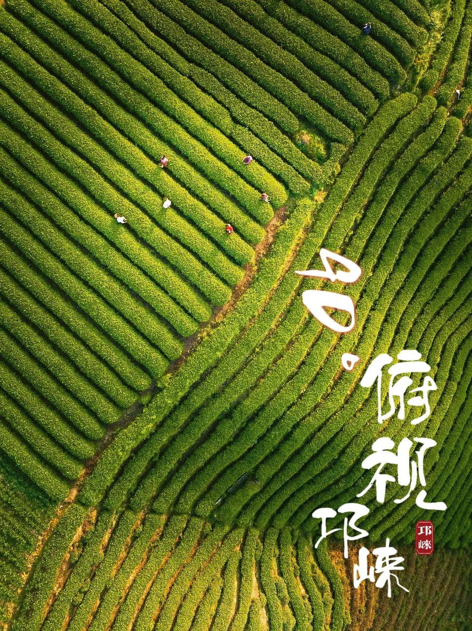 1685503082111826.jpg 微信图片_20230531111552.jpg