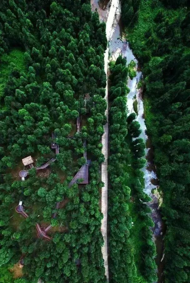 1685503245625682.jpg 微信图片_20230531112031.jpg