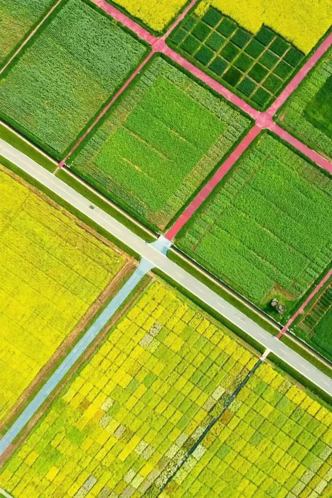 1685503468365554.jpg 微信图片_20230531112417.jpg