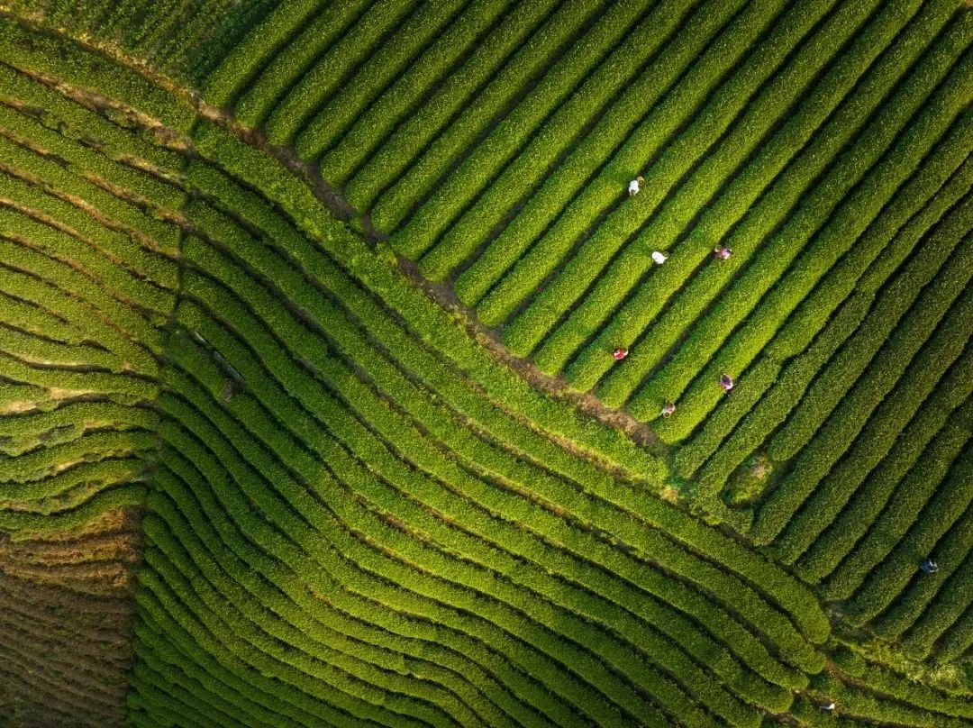 1685503515795485.jpg 微信图片_20230531112506.jpg