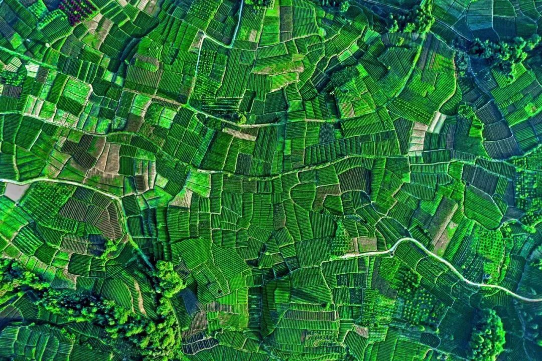 1685503536262278.jpg 微信图片_20230531112526.jpg