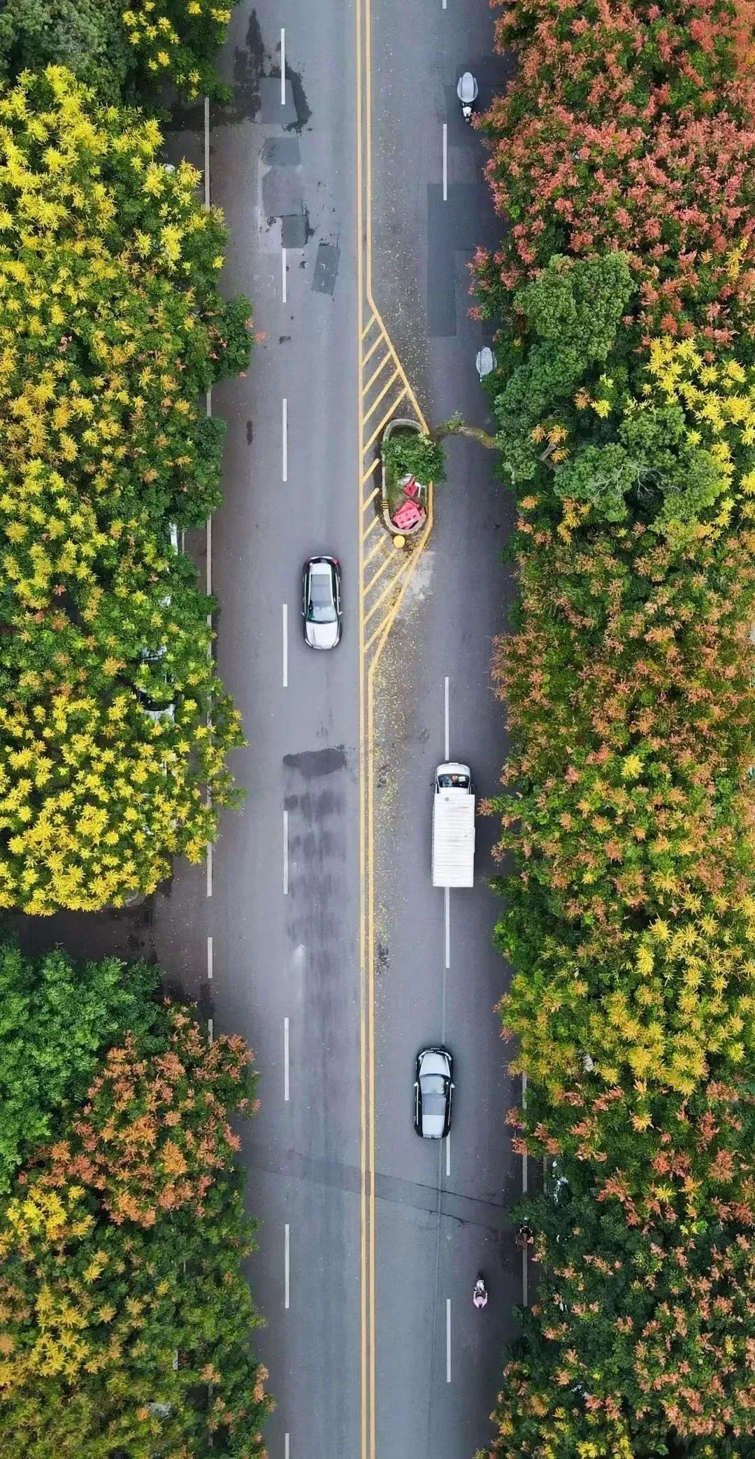 1685503632582220.jpg 微信图片_20230531112701.jpg