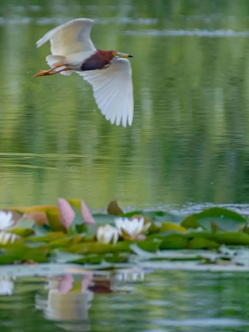 1686031415108767.jpg 微信图片_20230606140325.jpg