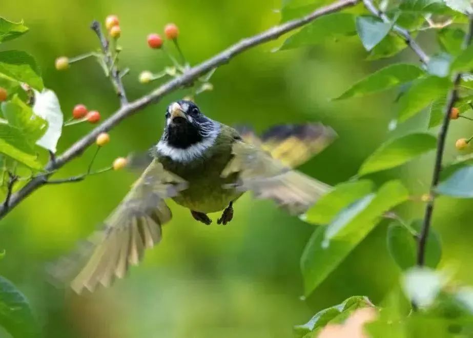 1686031433804436.jpg 微信图片_20230606140341.jpg