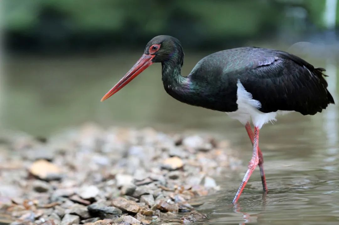 1686031441432211.jpg 微信图片_20230606140344.jpg