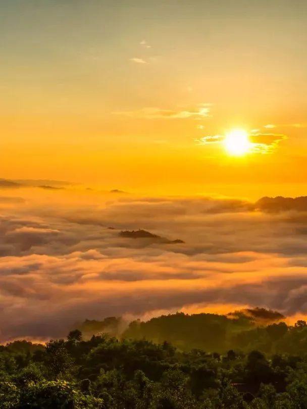 1686625022127016.jpg 微信图片_20230613105651.jpg