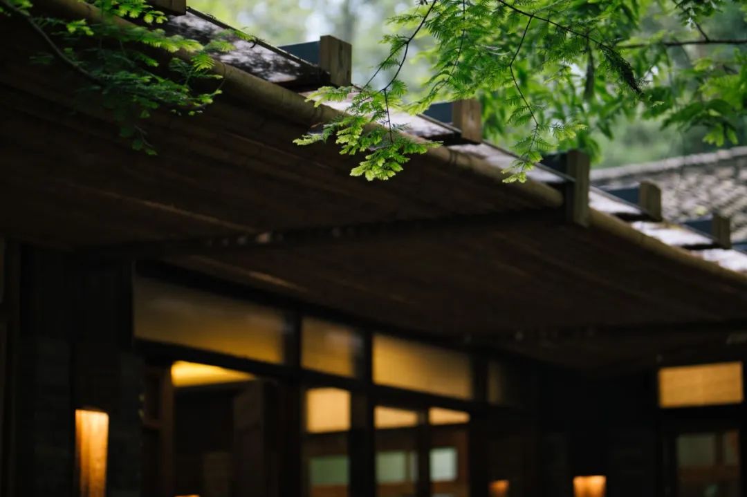 1687834637639882.jpg 微信图片_20230627105707.jpg