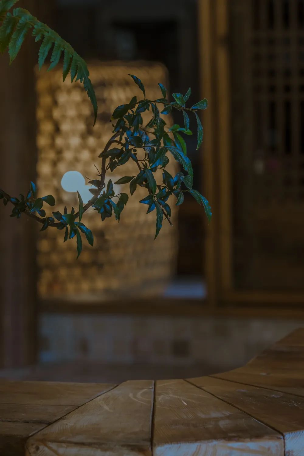 1687834927938178.jpg 微信图片_20230627110153.jpg