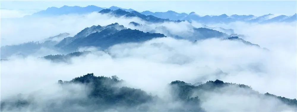 1688694869369126.jpg 微信图片_20230707095421.jpg