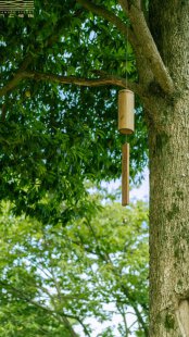 夏日亲子｜成都近郊古村落徒步