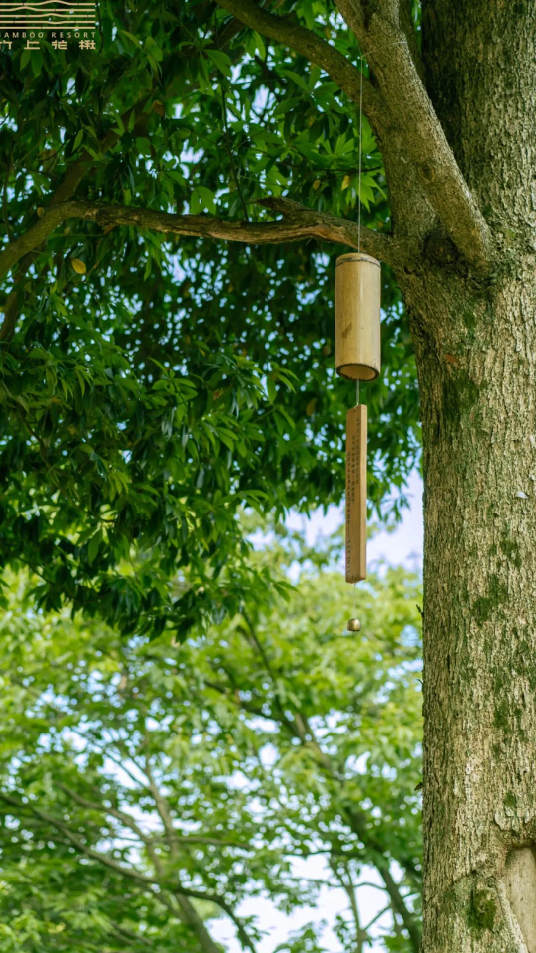 1689300503134788.jpg 微信图片_20230714100811.jpg