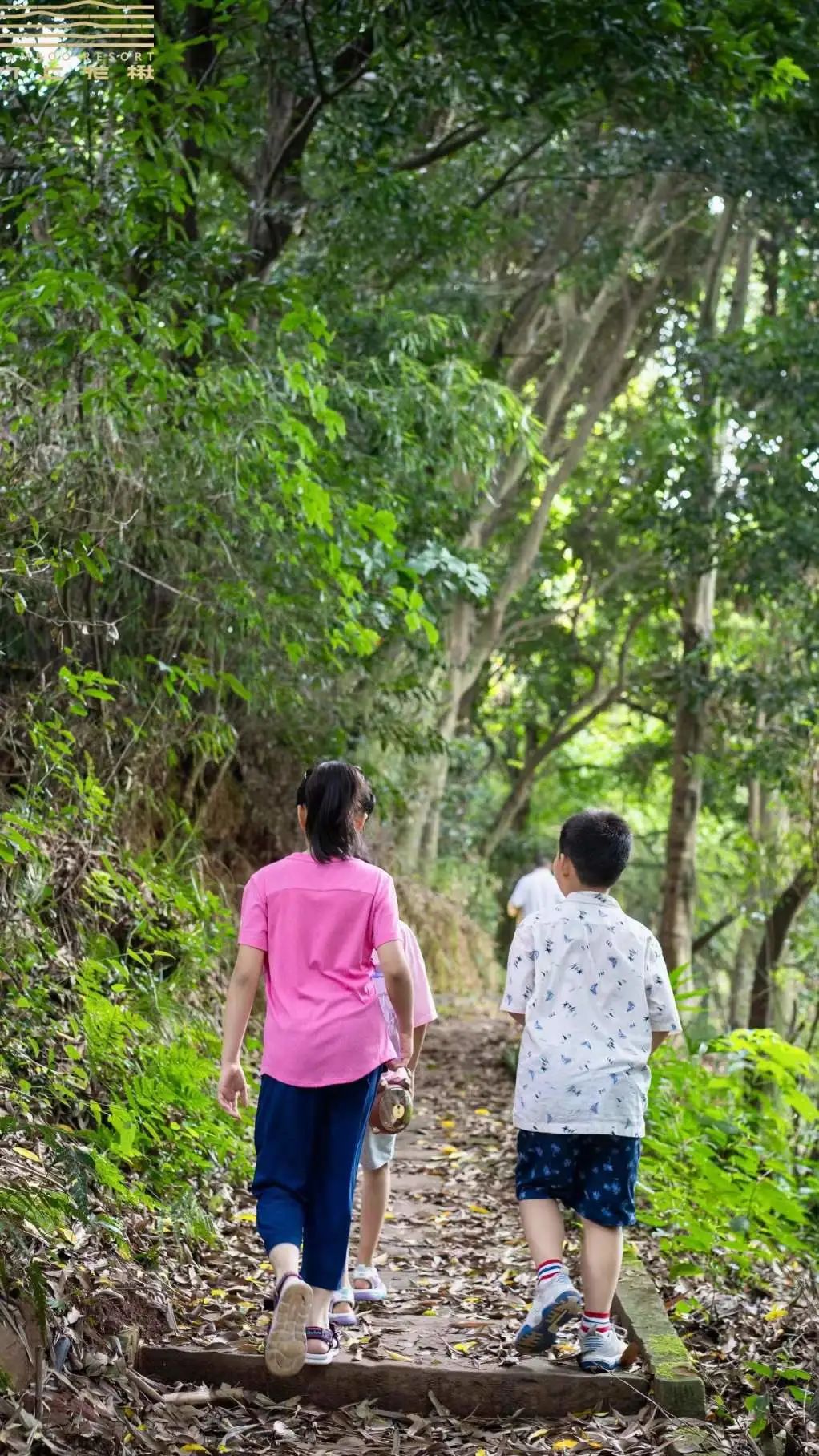 1689300541718200.jpg 微信图片_20230714100841.jpg