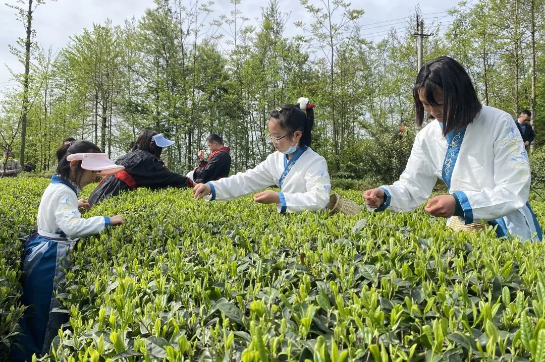 1693277877138028.jpg 微信图片_20230829093255_3.jpg