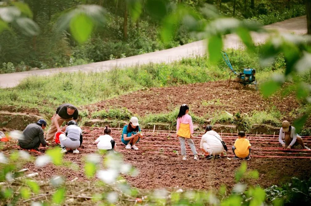 1693278042124998.jpg 微信图片_20230829093255_9.jpg