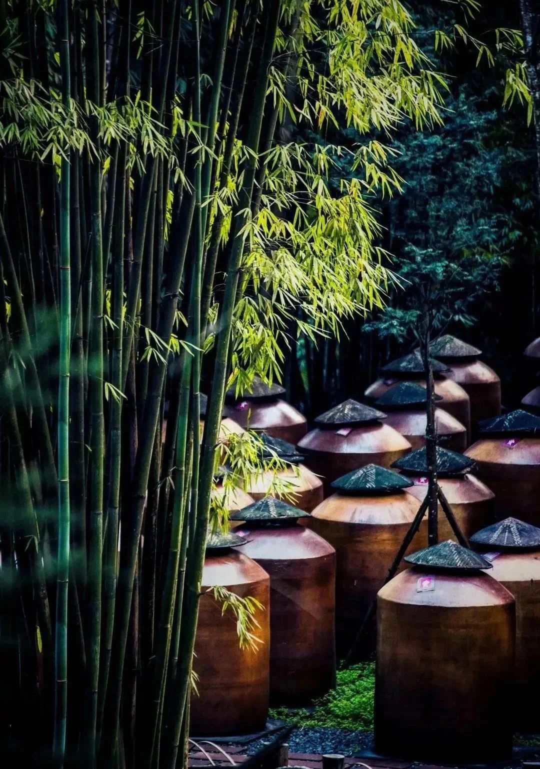 1694655619233533.jpg 微信图片_20230914093539.jpg