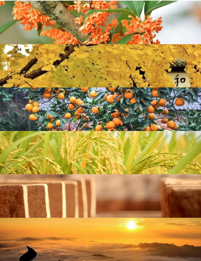 1695611089789805.png 微信图片_20230925110428.png