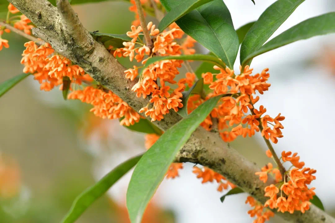 1695611321990634.jpg 微信图片_20230925110407_2.jpg