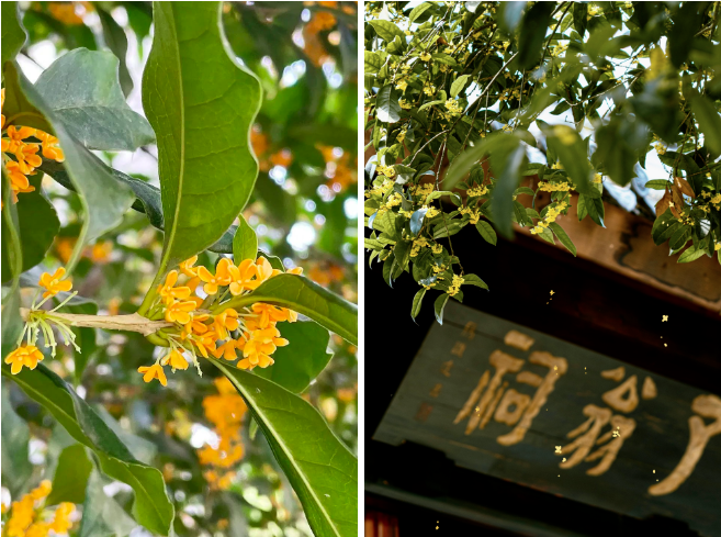 1695611355619098.png 微信图片_20230925110859.png