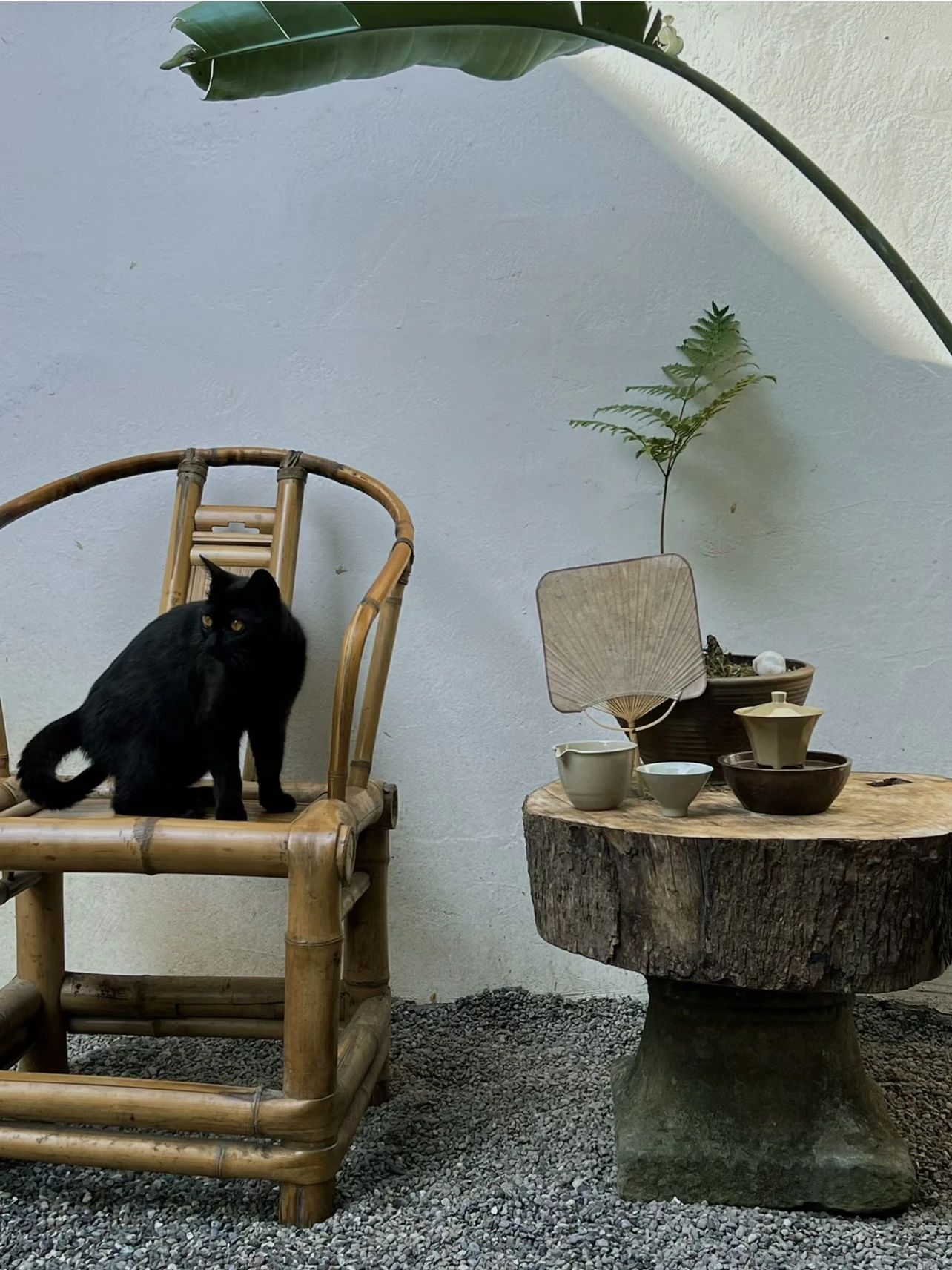 1697782898133574.jpg 微信图片_20231020142111.jpg