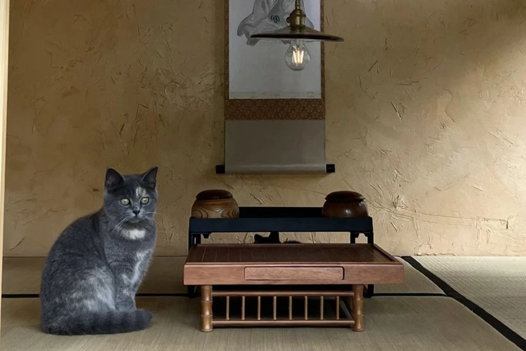 1697782932584543.jpg 微信图片_20231020142201.jpg