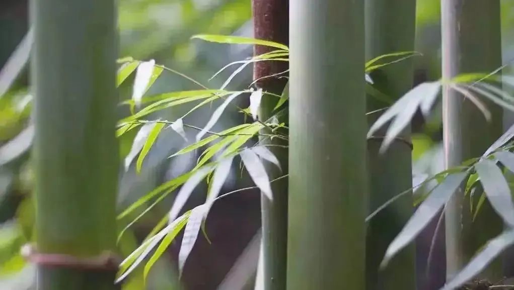 1700031149704473.jpg 微信图片_20231115145207.jpg